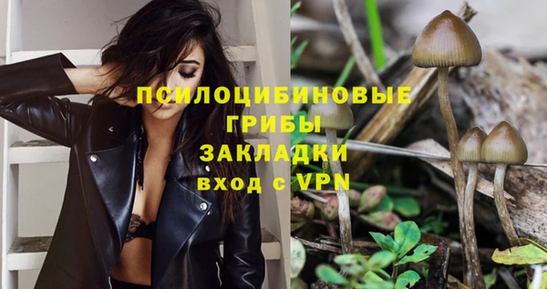 каннабис Осташков