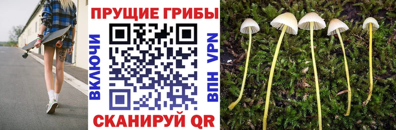Галлюциногенные грибы мухоморы  Алзамай 