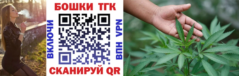Шишки марихуана конопля Алзамай